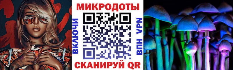 блэк спрут как зайти купить наркотик Ядрин Галлюциногенные грибы ЛСД