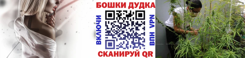 Конопля SATIVA & INDICA  ссылка на мегу ТОР  Ядрин  наркота 